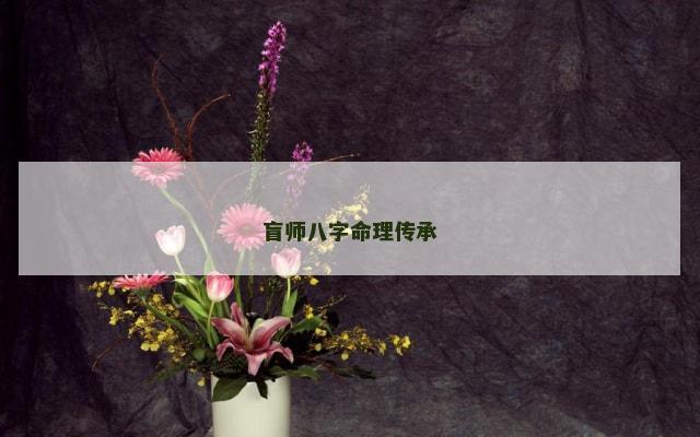 盲师八字命理传承