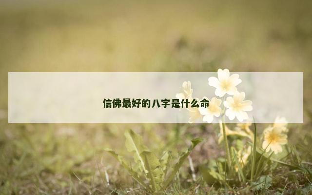 信佛最好的八字是什么命