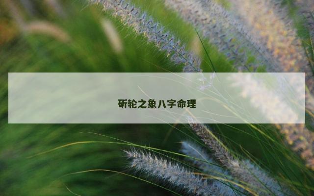斫轮之象八字命理