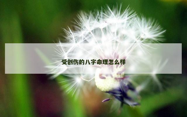 受创伤的八字命理怎么样