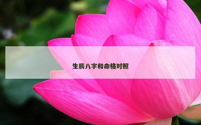 生辰八字和命格对照
