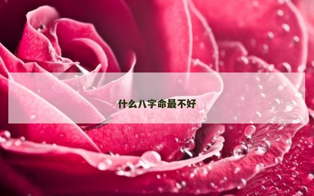 什么八字命最不好