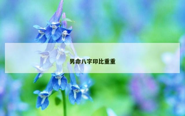 男命八字印比重重