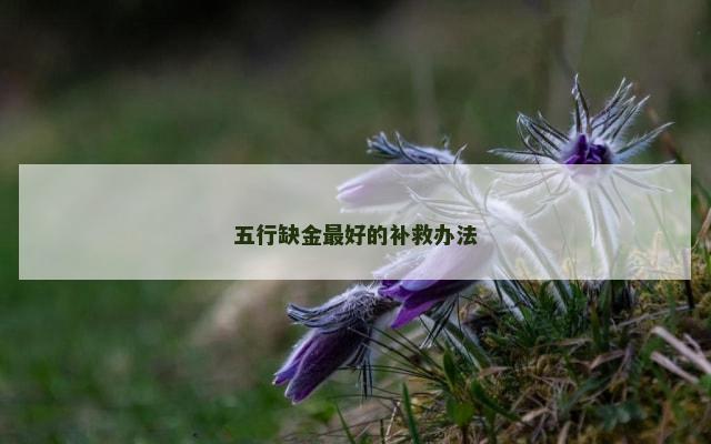 五行缺金最好的补救办法