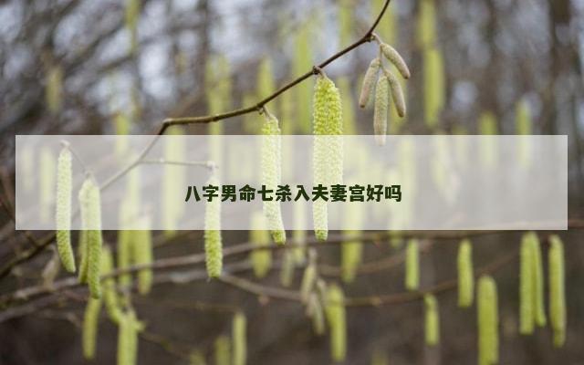 八字男命七杀入夫妻宫好吗