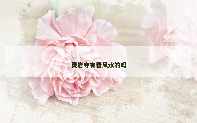灵岩寺有看风水的吗