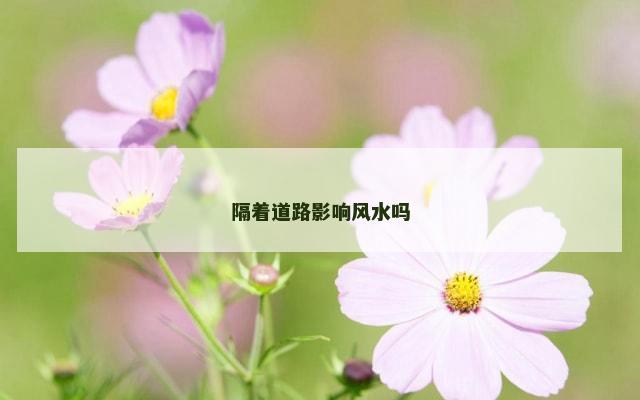 隔着道路影响风水吗