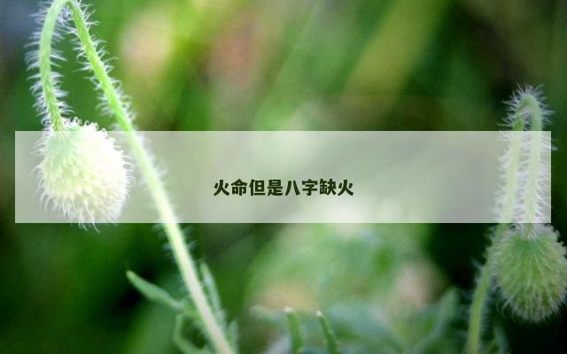 火命但是八字缺火