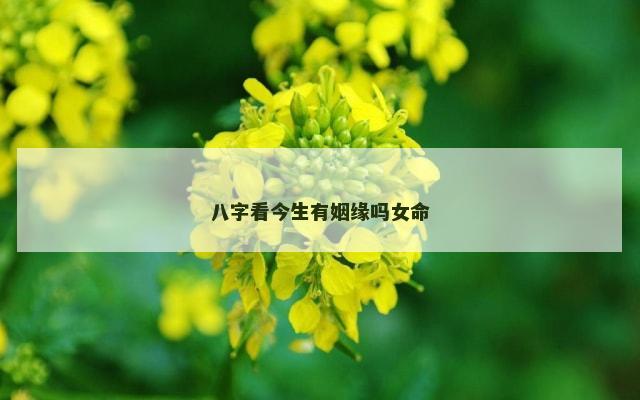 八字看今生有姻缘吗女命