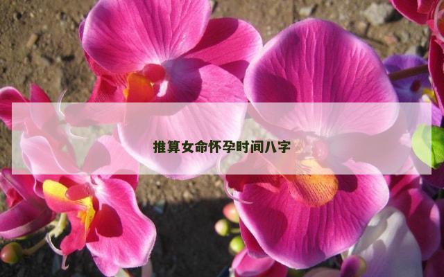 推算女命怀孕时间八字
