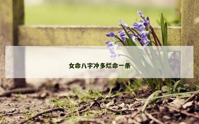 女命八字冲多烂命一条