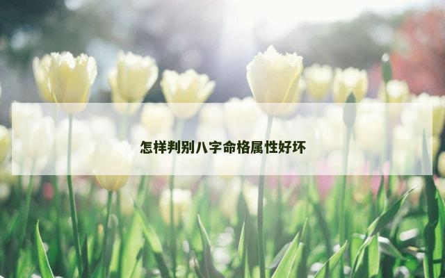 怎样判别八字命格属性好坏