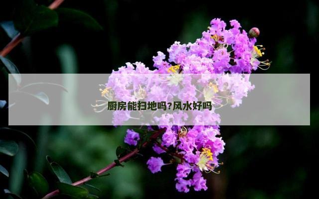 厨房能扫地吗?风水好吗