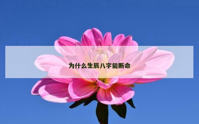 为什么生辰八字能断命