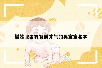 樊姓取名有智慧才气的男宝宝名字