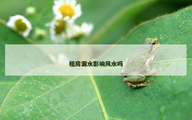 租房漏水影响风水吗