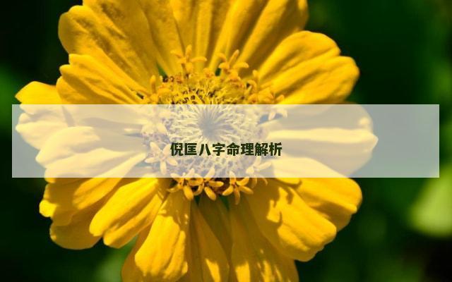 倪匡八字命理解析