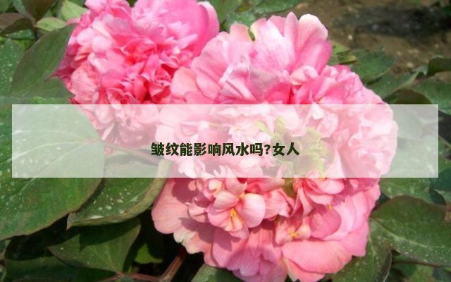 皱纹能影响风水吗?女人