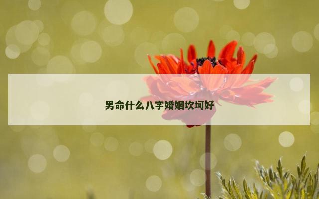男命什么八字婚姻坎坷好