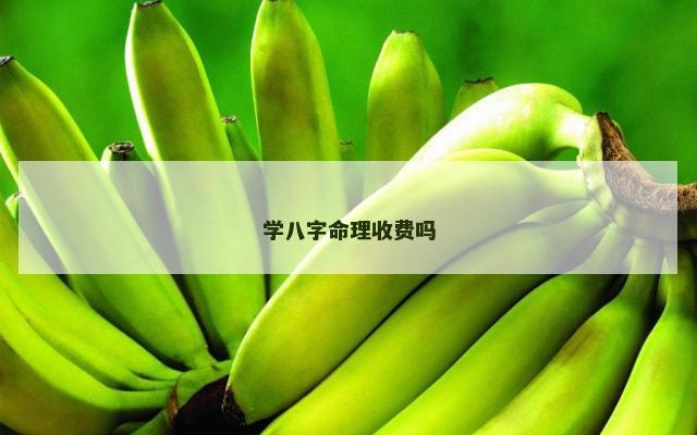 学八字命理收费吗