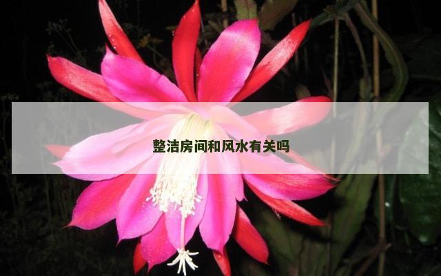 整洁房间和风水有关吗