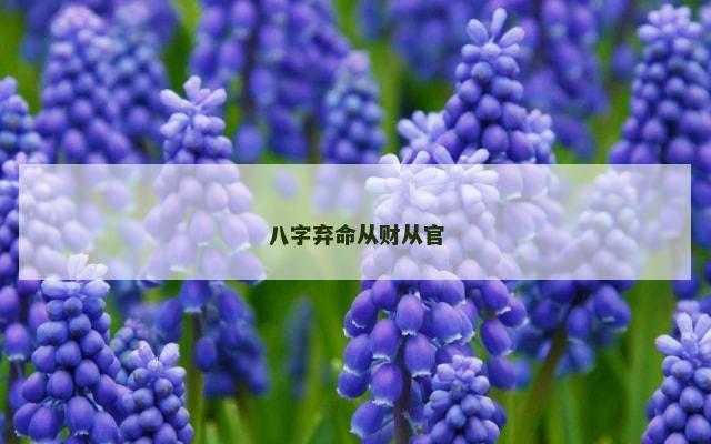 八字弃命从财从官