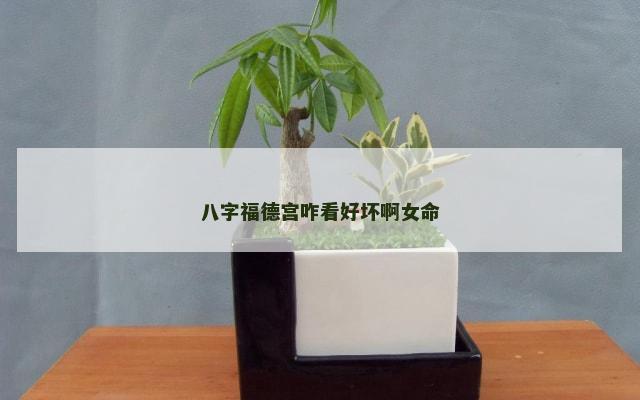 八字福德宫咋看好坏啊女命