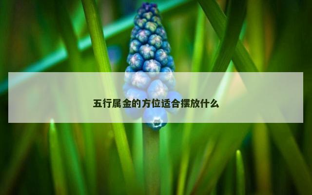 五行属金的方位适合摆放什么