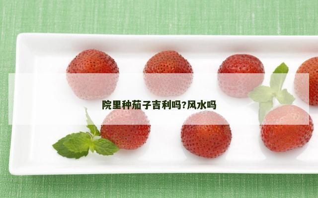 院里种茄子吉利吗?风水吗