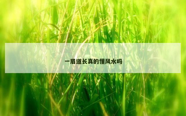 一眉道长真的懂风水吗