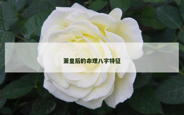 萧皇后的命理八字特征