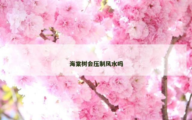海棠树会压制风水吗