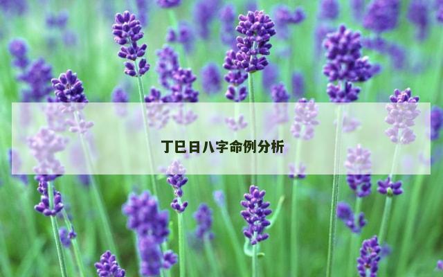 丁巳日八字命例分析
