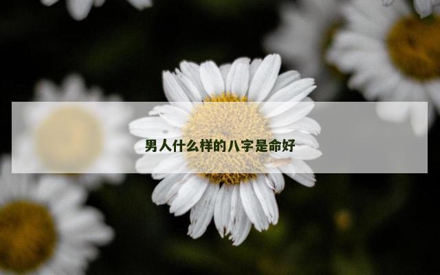 男人什么样的八字是命好
