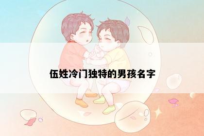 伍姓冷门独特的男孩名字