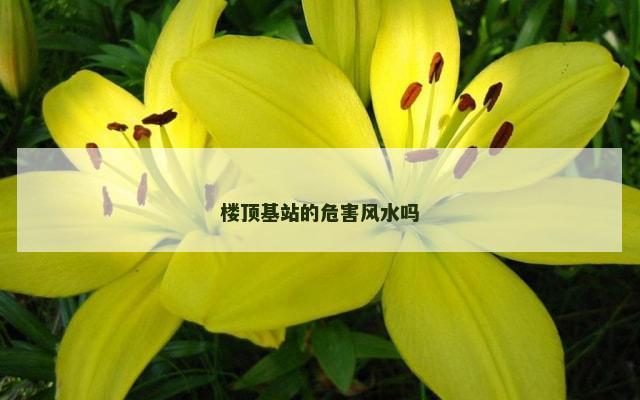 楼顶基站的危害风水吗