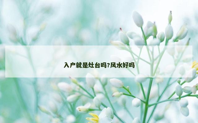 入户就是灶台吗?风水好吗