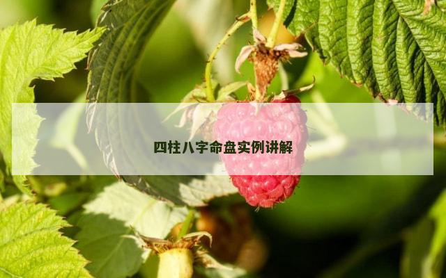 四柱八字命盘实例讲解