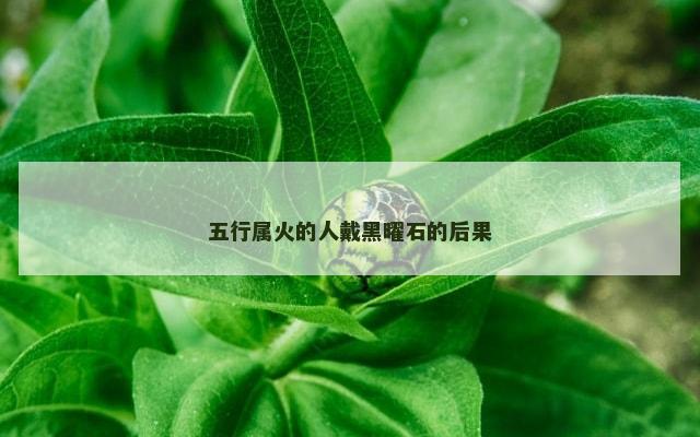 五行属火的人戴黑曜石的后果