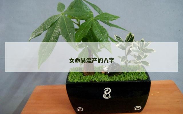 女命易流产的八字