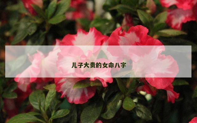 儿子大贵的女命八字