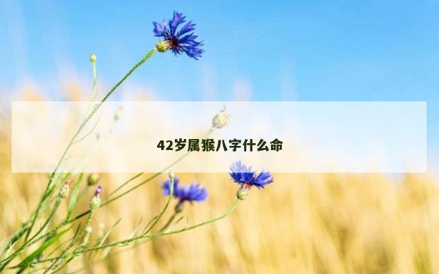 42岁属猴八字什么命