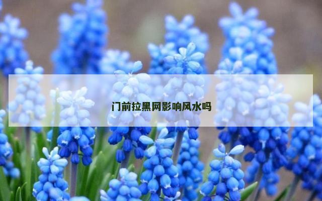 门前拉黑网影响风水吗
