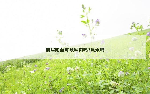 房屋阳台可以种树吗?风水吗