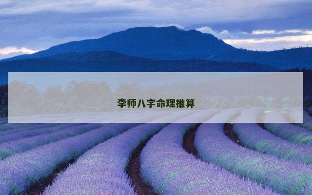 李师八字命理推算