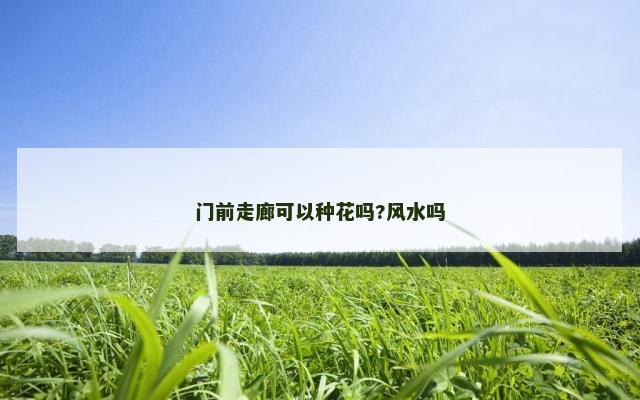 门前走廊可以种花吗?风水吗