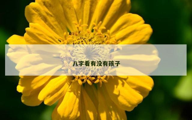 八字看有没有孩子
