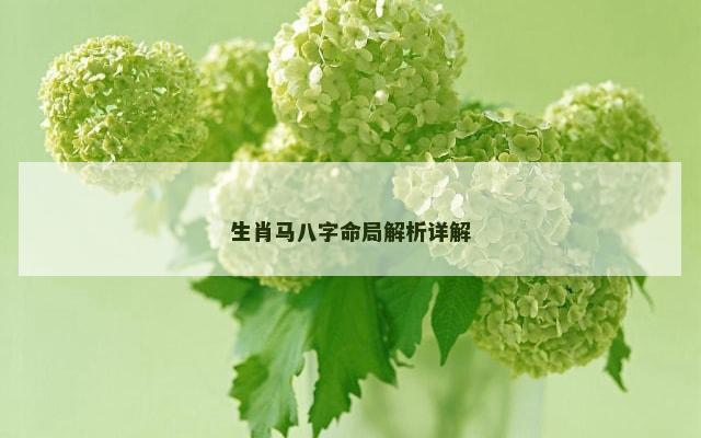 生肖马八字命局解析详解