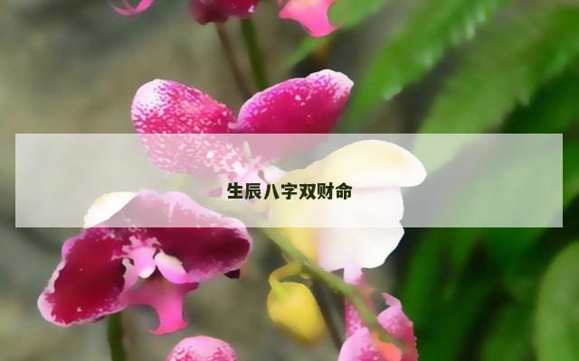 生辰八字双财命