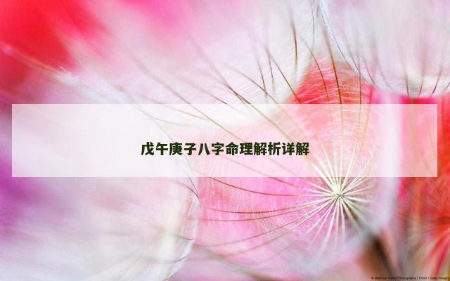 戊午庚子八字命理解析详解